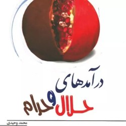 کتاب دست دوم درآمدهای حلال...