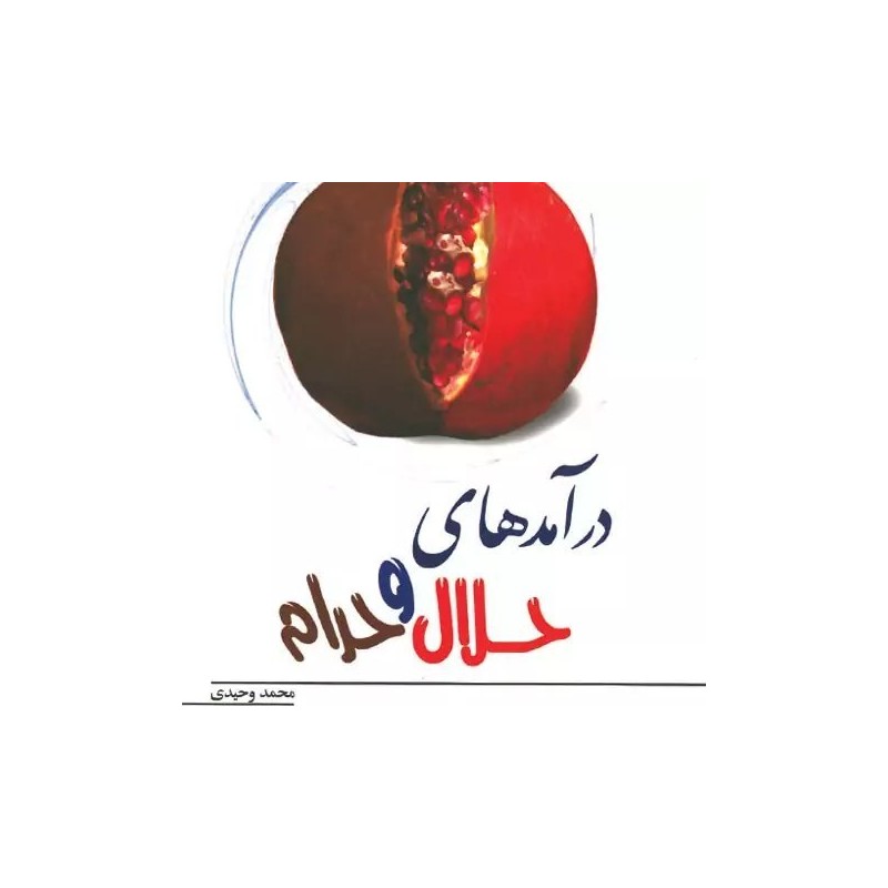 کتاب دست دوم درآمدهای حلال و حرام از محمد وحیدی