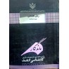 کتاب دست دوم زبان تخصصی مجموعه حسابداری از آزیتا السادات مرتضوی