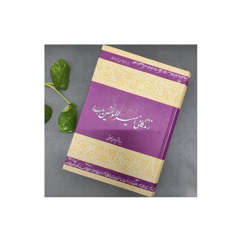 کتاب دست دوم زندگانی امیر المومنین (ع) از سید هاشم رسولی محلاتی