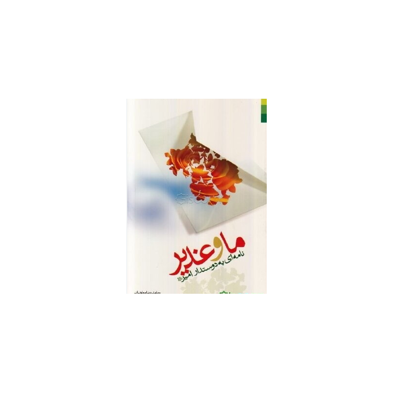 کتاب ما و غدیر نامه ای به دوستدار امیر از حامد رضا معاونیان