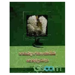 کتاب شگفتی های پزشکی در نهج...