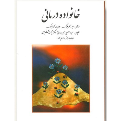 کتاب-خانواده-درمانی-از-ایرنه-و-هربرت-گلدنبرگ-و-حمید-رضا-حسین-شاهی-برواتی-و-سیامک-نقشبندی